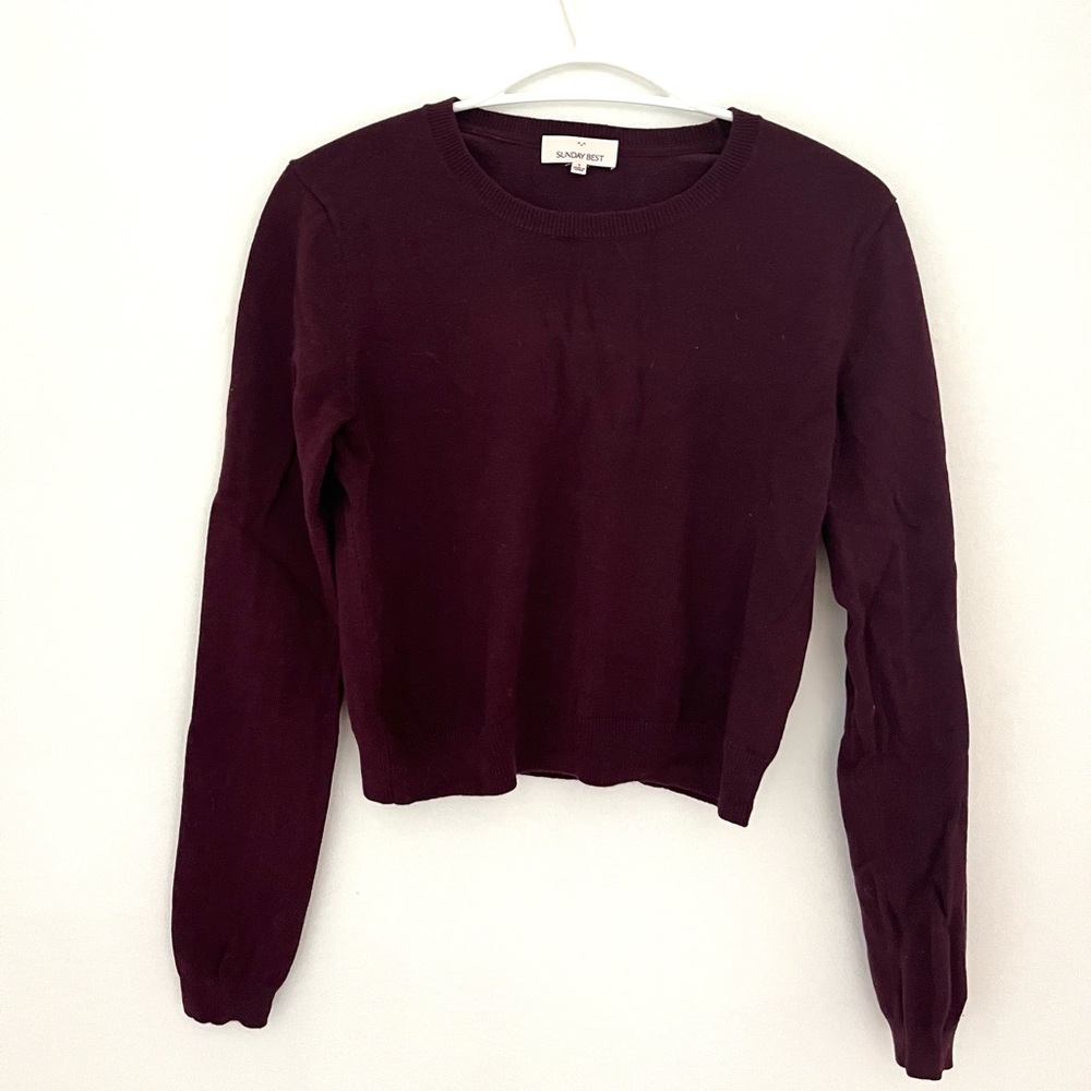 Aritzia Sunday Beat cropped sweater.